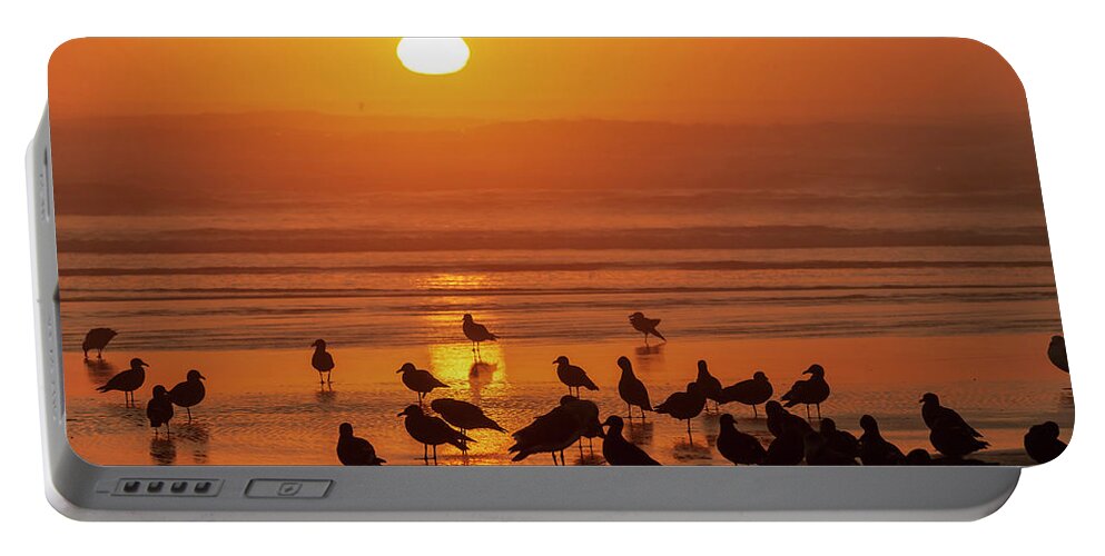 Animals Portable Battery Charger featuring the photograph Gull Silhouettes on Sand by Robert Potts
