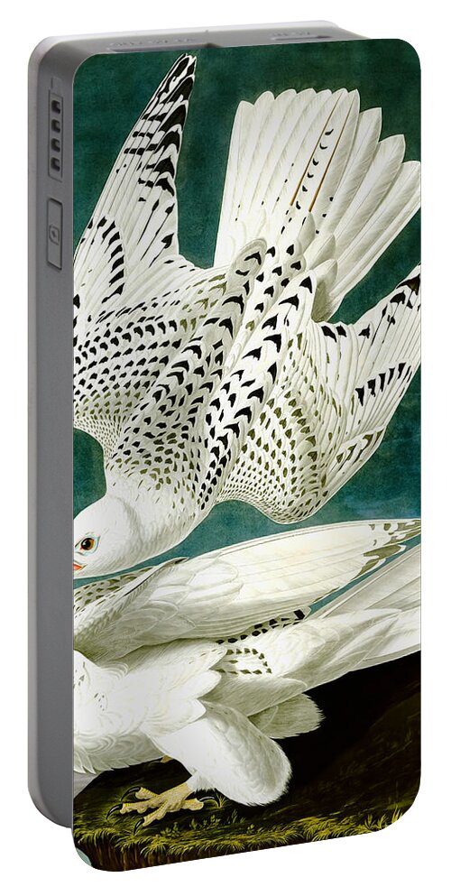 Gyrfalcon Portable Battery Charger featuring the drawing Falco Rusticolus by John James Audubon  by Mango Art