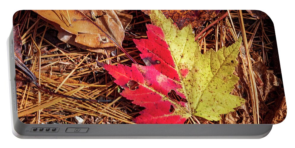 Red Portable Battery Charger featuring the photograph Half and Half Maple by Cynthia Clark