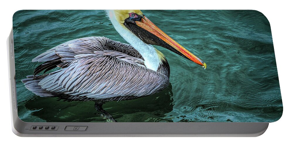Birds Portable Battery Charger featuring the photograph Handsome Pelican by Debra and Dave Vanderlaan