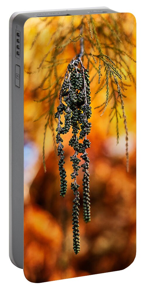 Leaves Portable Battery Charger featuring the photograph Hanging Green Berries in Autumn by Stuart Litoff