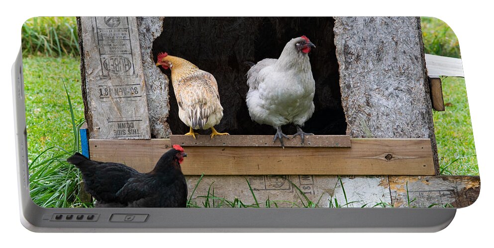 Hen Portable Battery Charger featuring the photograph On the Stoop of the Coop by Bonny Puckett