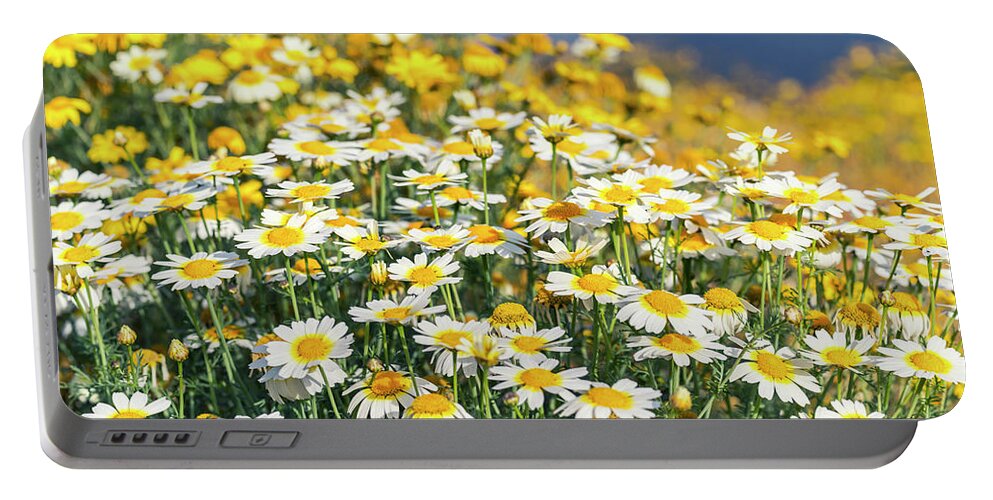 Flower Portable Battery Charger featuring the photograph Happy and Pretty - San Diego River by Joseph S Giacalone