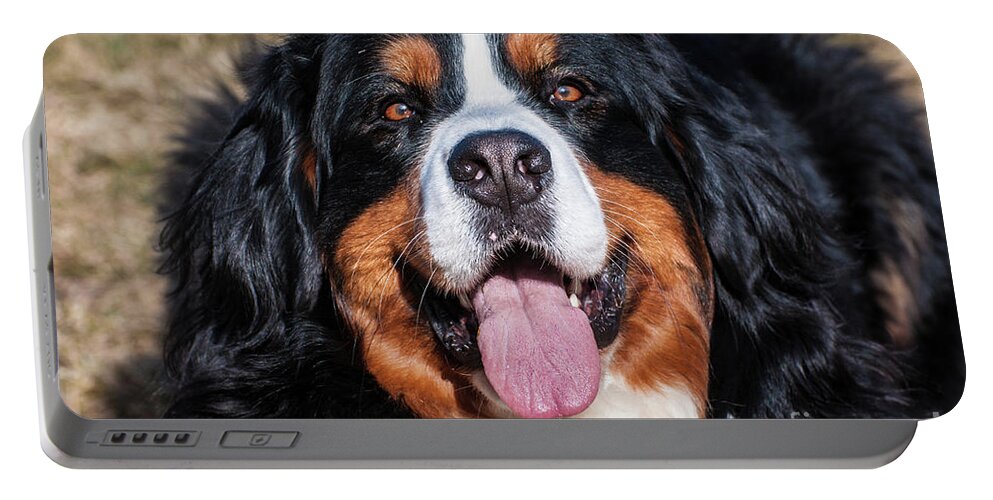 Bernese Portable Battery Charger featuring the photograph Happy Bernese Mountain Dog Lying on the Lawn by Gary Whitton