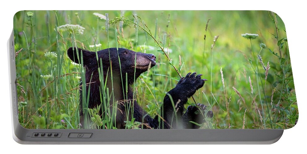 Great Smoky Mountains National Park Portable Battery Charger featuring the photograph Happy Black Bear by Robert J Wagner