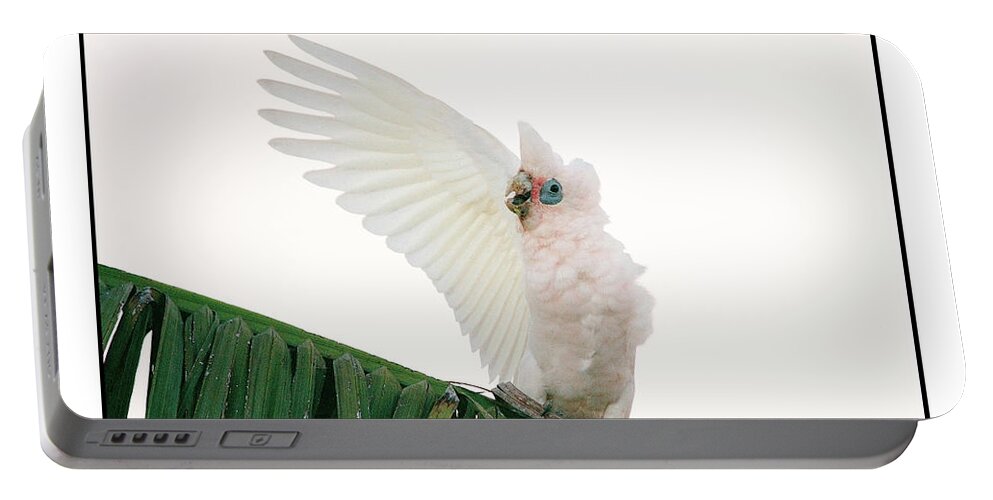 Corella Portable Battery Charger featuring the photograph Happy Corella 3 by Russell Brown