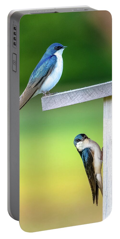 Swallow Portable Battery Charger featuring the photograph Happy Couple by Brad Bellisle