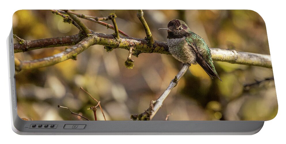 Bird Portable Battery Charger featuring the photograph Happy Hummer by Bob Cournoyer