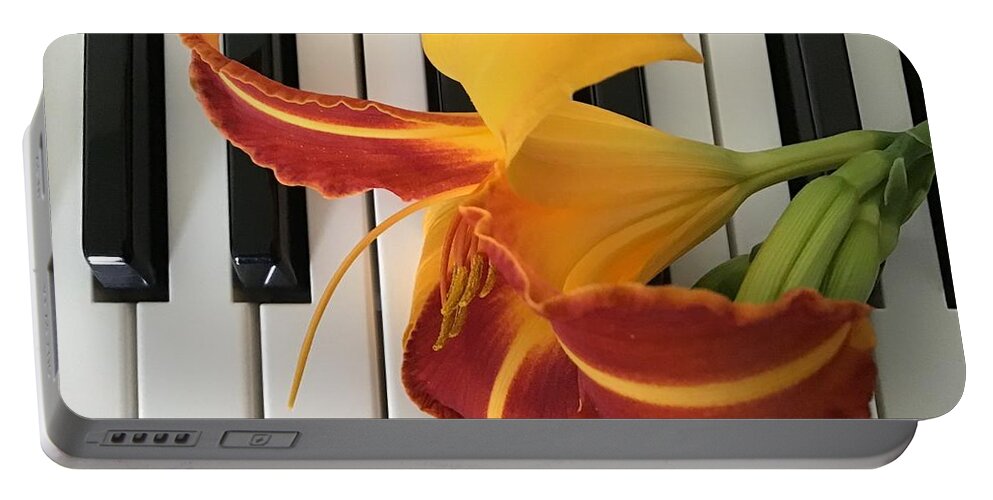 Lily Portable Battery Charger featuring the photograph Happy Lily on Keyboard by Catherine Wilson