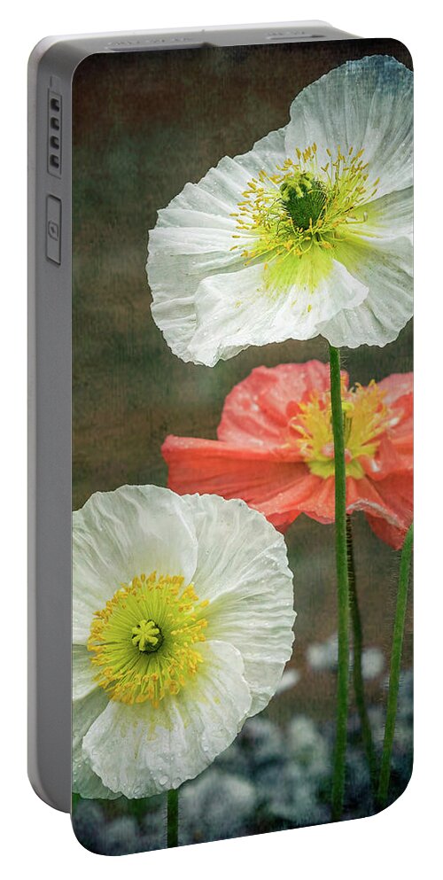 Poppy Portable Battery Charger featuring the photograph Happy Poppies by Elvira Peretsman