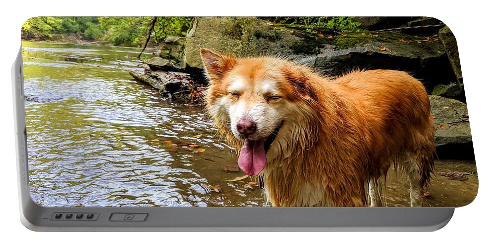  Portable Battery Charger featuring the photograph Happy Pup by Brad Nellis