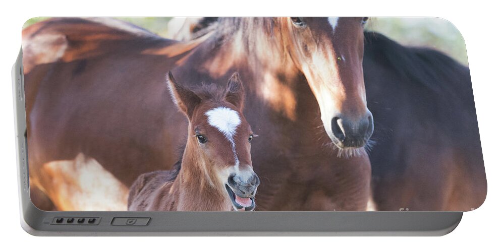 Foal Portable Battery Charger featuring the photograph Happy by Shannon Hastings