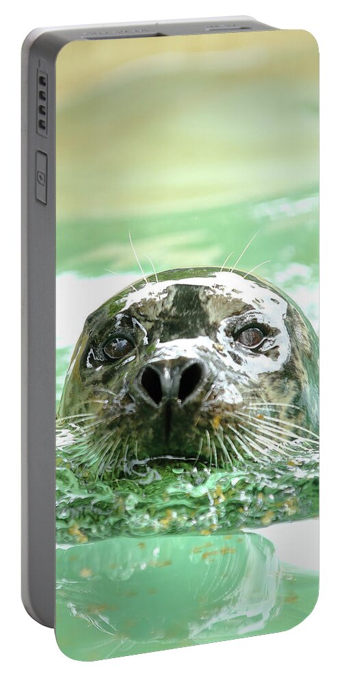 Harbor Seal Portable Battery Charger featuring the photograph Harbor Seal by Lens Art Photography By Larry Trager