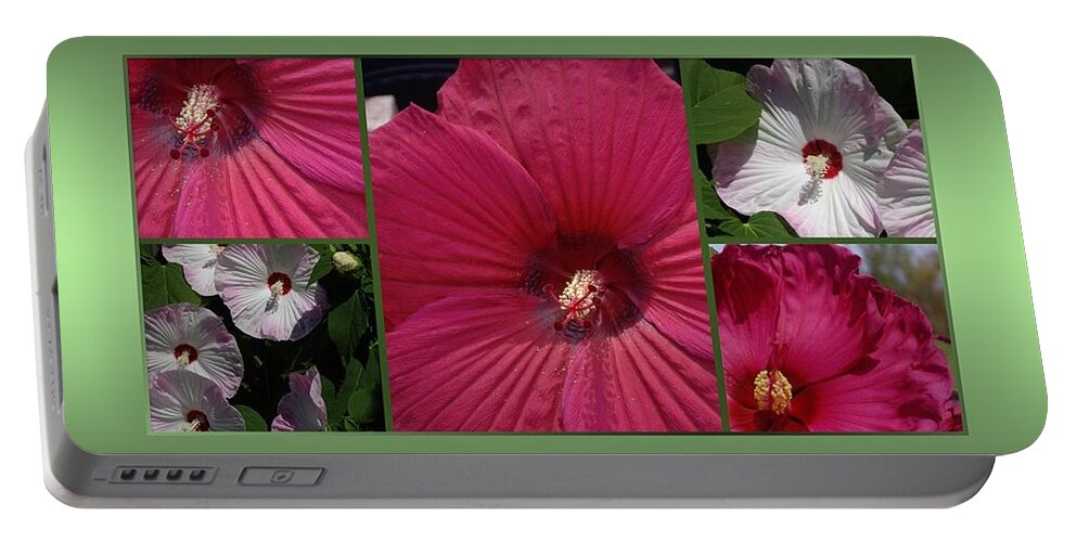 Hibiscus Portable Battery Charger featuring the photograph Hardy Hibiscus by Nancy Ayanna Wyatt