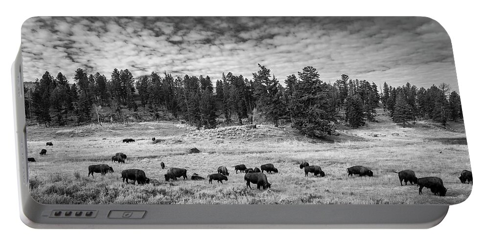 Bison Portable Battery Charger featuring the photograph Harkening To Times Past by Michael Smith