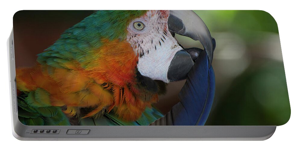 Bird Portable Battery Charger featuring the photograph Harlequin Macaw by Carolyn Hutchins