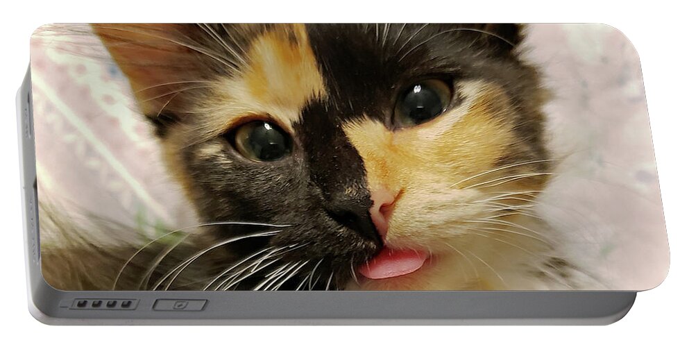 Kitten; Cute Kitten; Cat; Cute Cat; Tortoiseshell; Calico; Cute; Animal; Pet; Funny; Tongue; Silly; Happy; Square Portable Battery Charger featuring the photograph Harlequin by Tina Uihlein