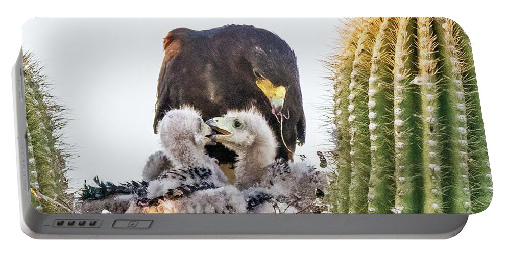 Harris Hawk Portable Battery Charger featuring the photograph Harris Hawk and Chicks 8104-050922-2 by Tam Ryan