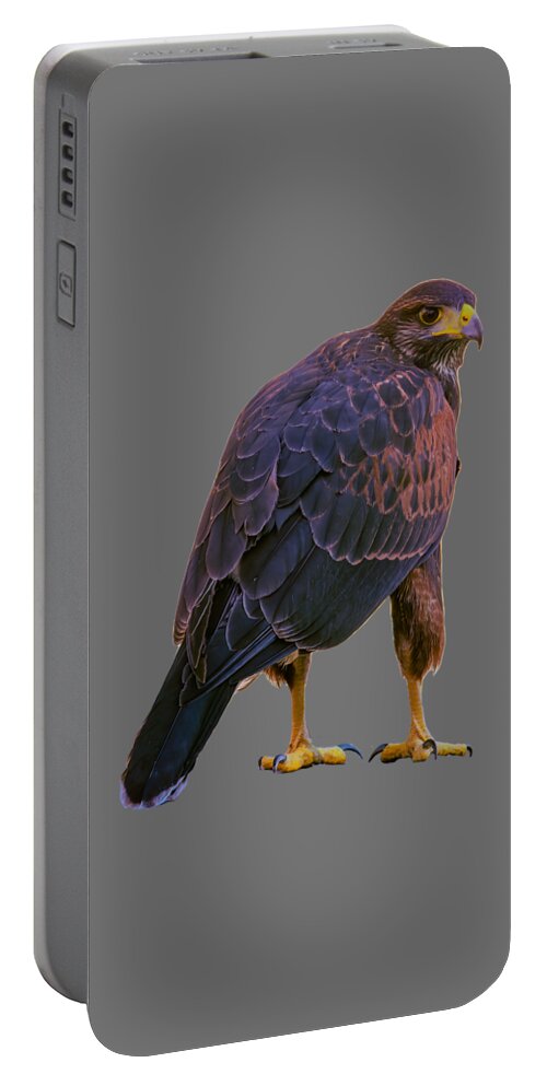 Animal Portable Battery Charger featuring the photograph Harris's Hawk 24910 by Mark Myhaver