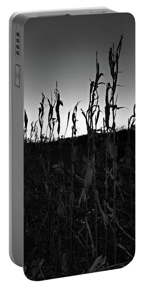 Corn Field Portable Battery Charger featuring the photograph Harvest - BW by Fred Larucci