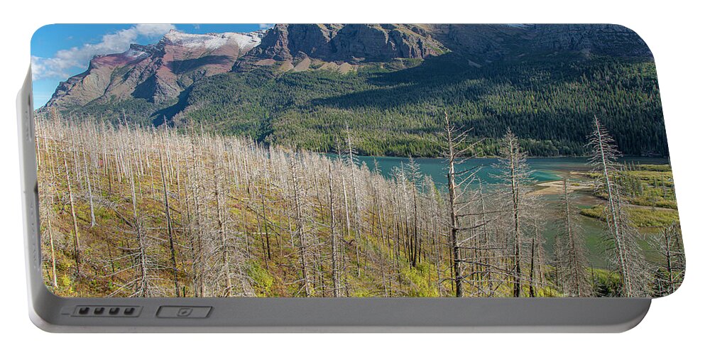 Wayne Moran Photograpy Portable Battery Charger featuring the photograph Haunting Beauty Regenerating Forest Glacier National Park by Wayne Moran