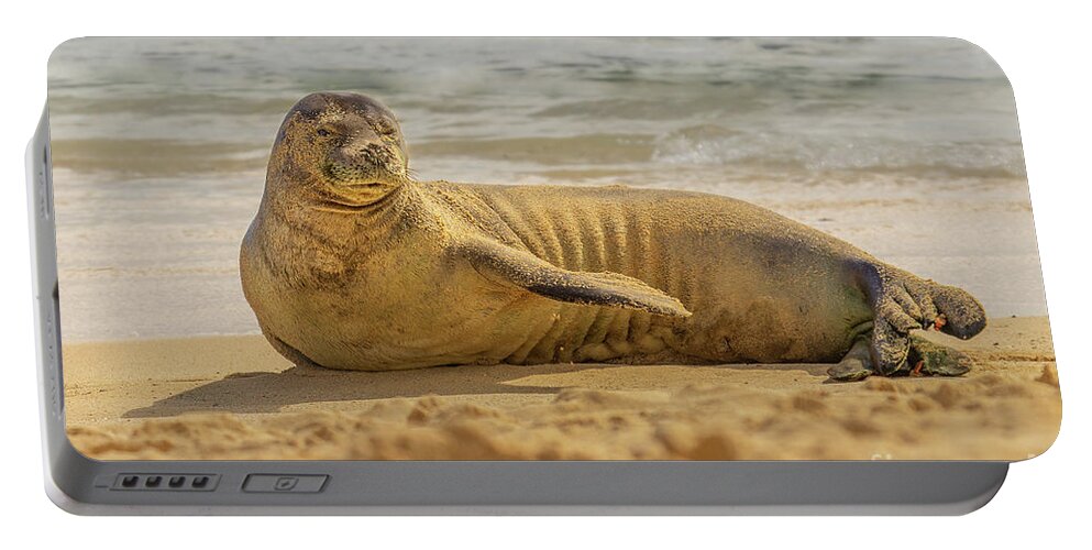 Animal Portable Battery Charger featuring the photograph Hawaiian Monk Seal Portrait by Nancy Gleason
