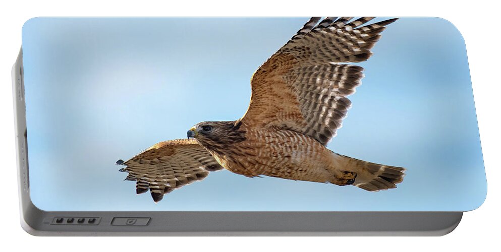 Hawk Portable Battery Charger featuring the photograph Hawk in Flight by Linda Shannon Morgan