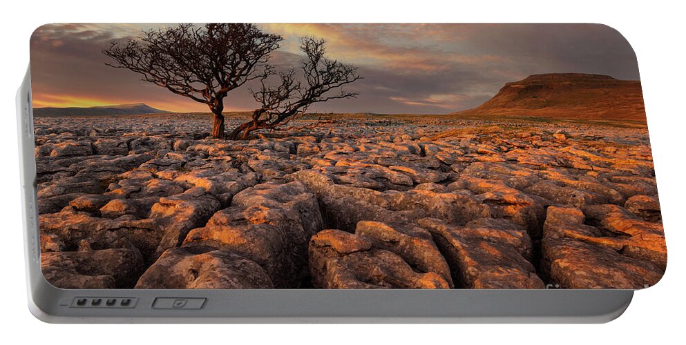 Tree Portable Battery Charger featuring the photograph Hawthorne tree at sunset, White Scars, Ingleborough, Yorkshire Dales National Park, England by Neale And Judith Clark