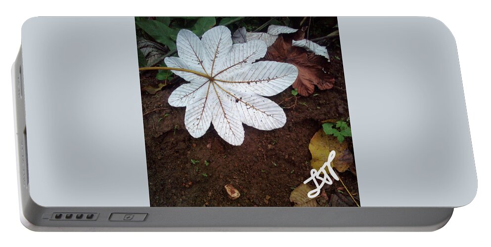 Heal Portable Battery Charger featuring the photograph Heal Me Herbal by Esoteric Gardens KN