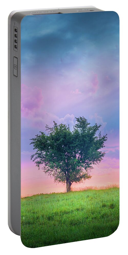 Heart Tree Portable Battery Charger featuring the photograph Heart-Shaped Tree Tupelo MIssissippi by Jordan Hill