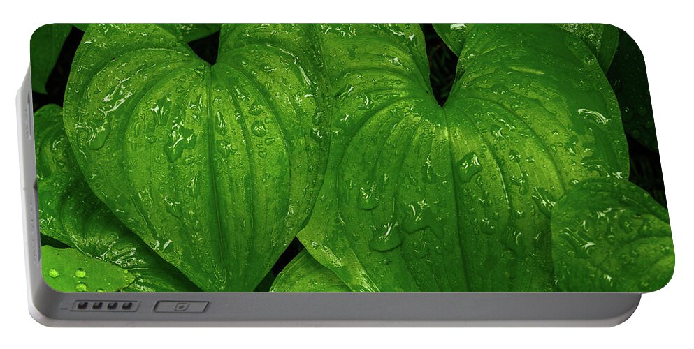 Leaves Portable Battery Charger featuring the photograph Hearts in the rain forest by Robert Miller