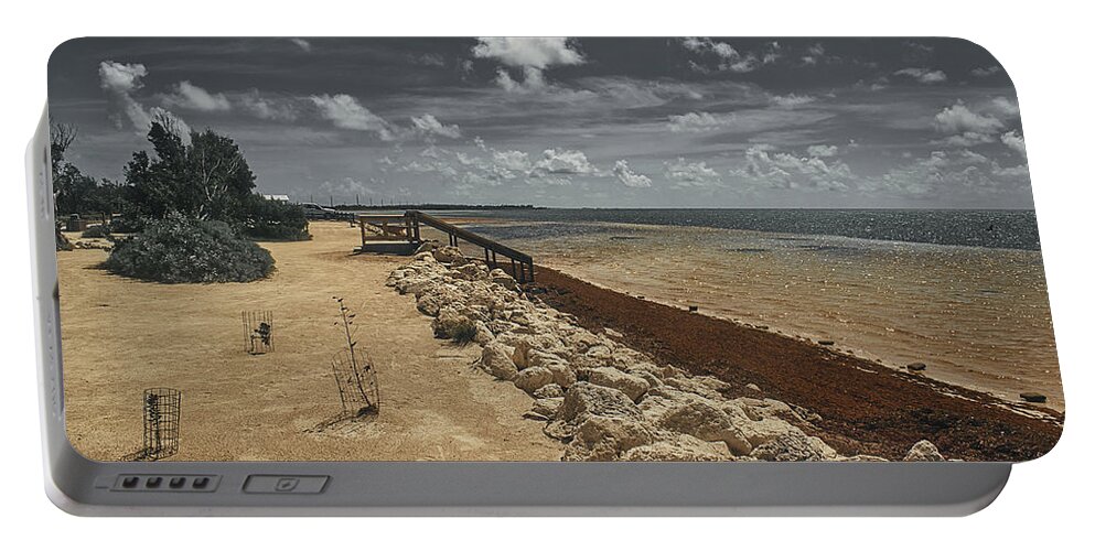Landscape Portable Battery Charger featuring the photograph Heavy Sargassum on the Atlantic by Portia Olaughlin