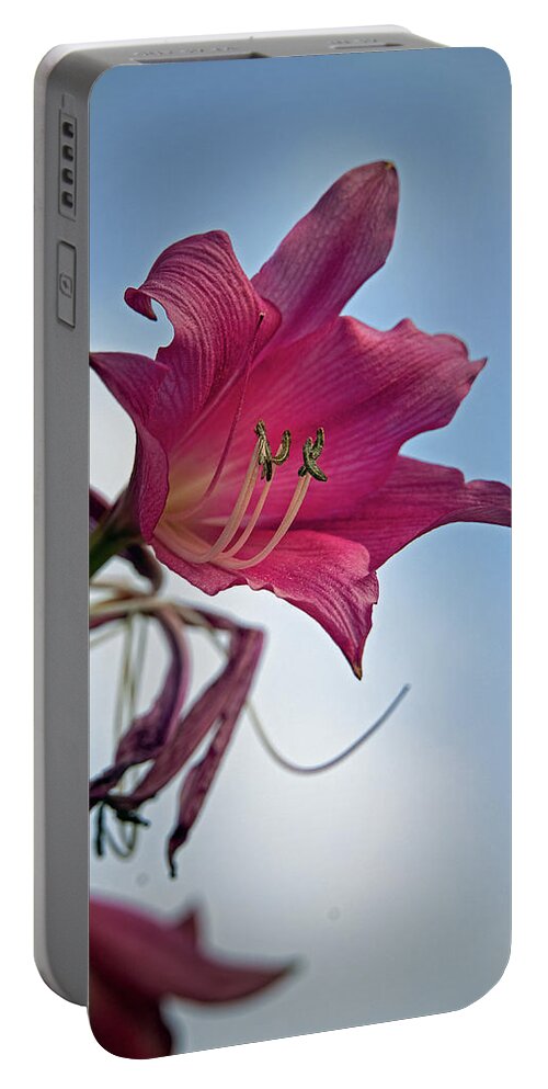 Lily Portable Battery Charger featuring the photograph Heirloom by M Kathleen Warren