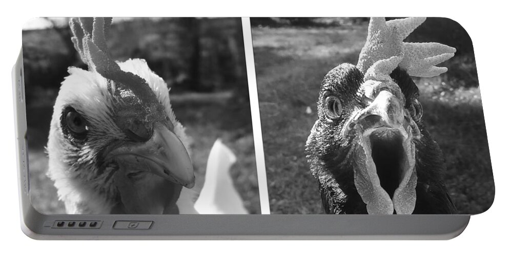 Hello Portable Battery Charger featuring the photograph Hens Hello by Joelle Philibert