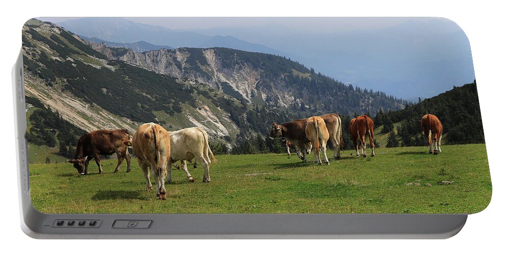 Hochkar Portable Battery Charger featuring the photograph Herd of Pinzgauer cattle grazes on the Hochkar mountain with an incredible and soothing view of the rest of the Austrian Alps. Organic product, the freshest and highest quality milk. by Vaclav Sonnek