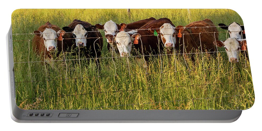 Agricultural Portable Battery Charger featuring the photograph Hereford Calves at the Fence by Eleanor Abramson