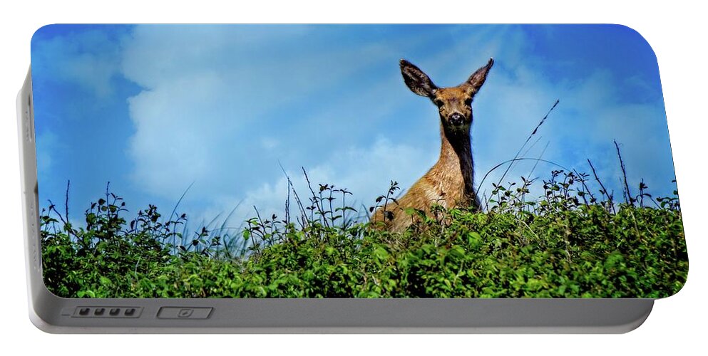 Alone Portable Battery Charger featuring the digital art Here's Looking At You Dear by David Desautel