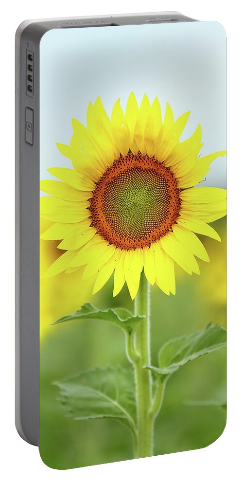 Sunflower Portable Battery Charger featuring the photograph Here's Looking At You Kid by Lens Art Photography By Larry Trager