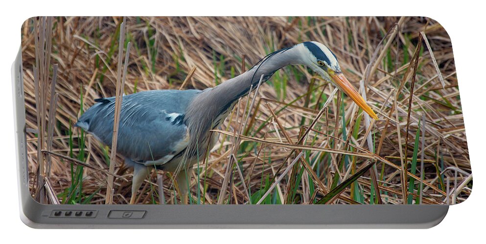 Heron Portable Battery Charger featuring the photograph Heron 3 by Steev Stamford