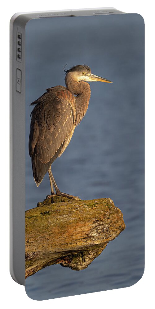 Blue Heron Portable Battery Charger featuring the photograph Heron Sunset Vertical by Michael Rauwolf