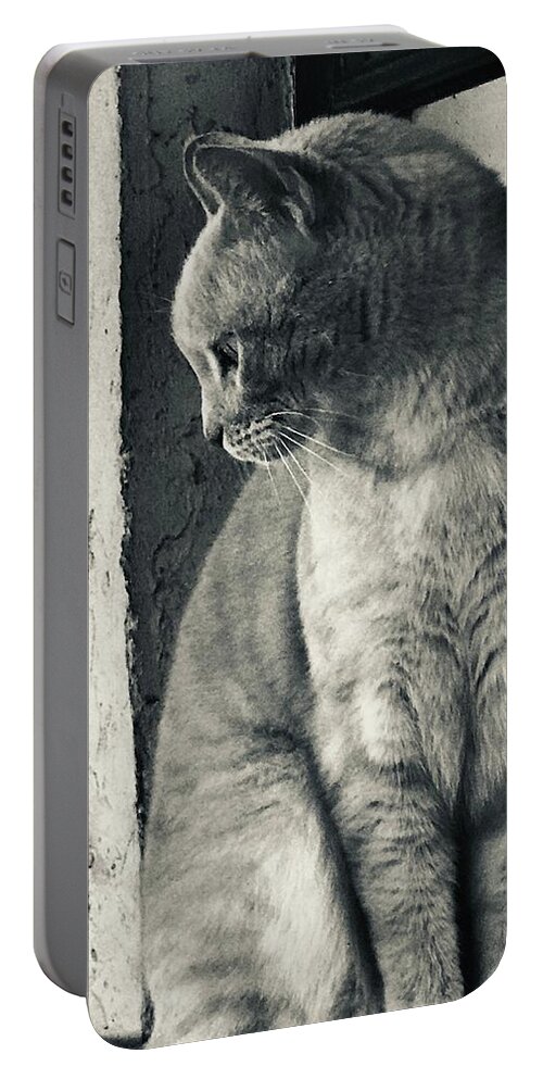 Cat Portable Battery Charger featuring the digital art Hi Noon by Michelle Hoffmann