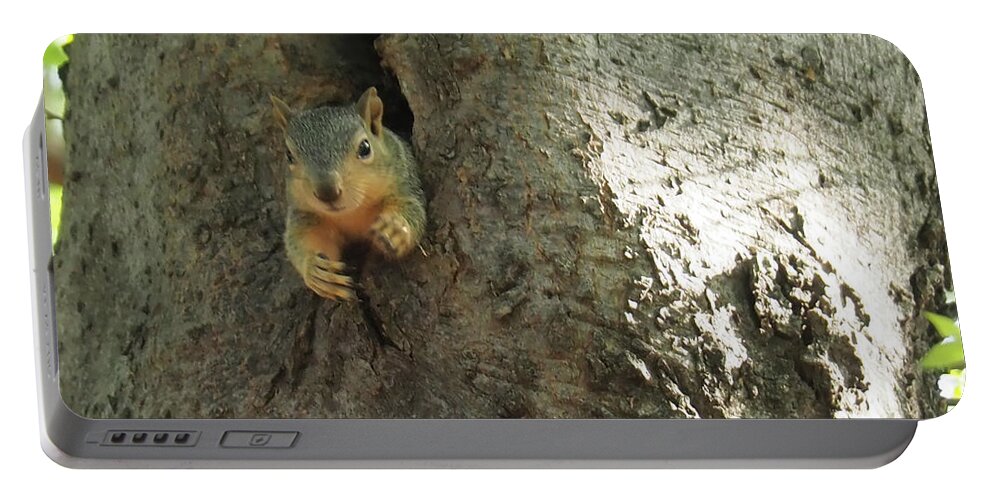 Squirrel Portable Battery Charger featuring the photograph Hi There by C Winslow Shafer