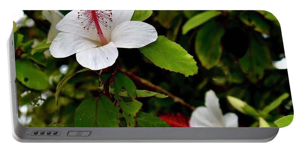 Square Portable Battery Charger featuring the photograph Hibiscus and Honey Bee by Gary F Richards