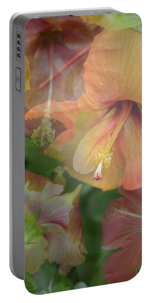 Flowers Portable Battery Charger featuring the photograph Hibiscus Multiple by M Kathleen Warren