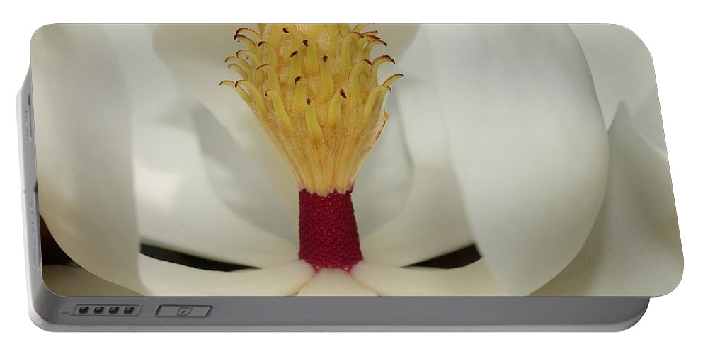 Magnolia Flower Portable Battery Charger featuring the photograph Hidden Wonder 2 by Mingming Jiang