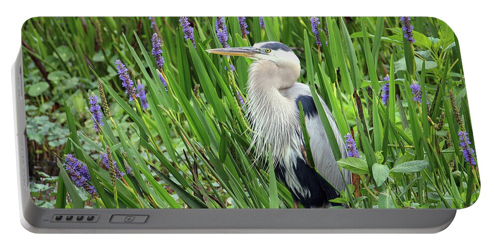 Ardea Herodias Portable Battery Charger featuring the photograph Hiding in the Pickerelweed by Robert Carter