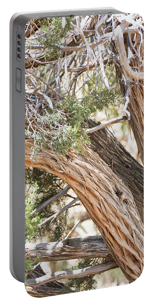 Flora Portable Battery Charger featuring the photograph Highly textured tree trunk by Segura Shaw Photography
