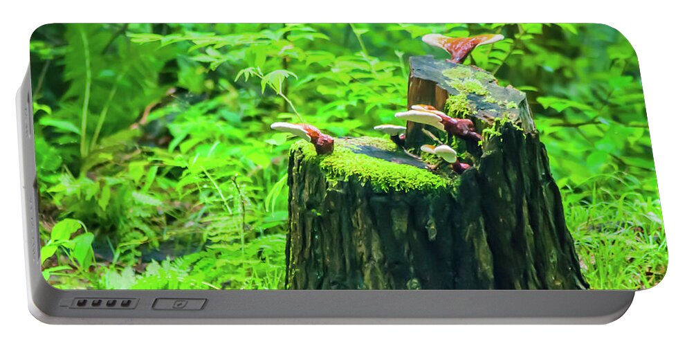 Fungus Portable Battery Charger featuring the photograph Hitching A Ride by Gordon Sarti