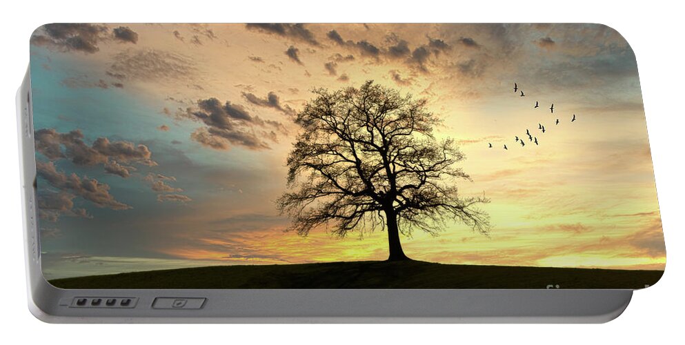 Nag005819 Portable Battery Charger featuring the photograph Homeward Bound by Edmund Nagele FRPS