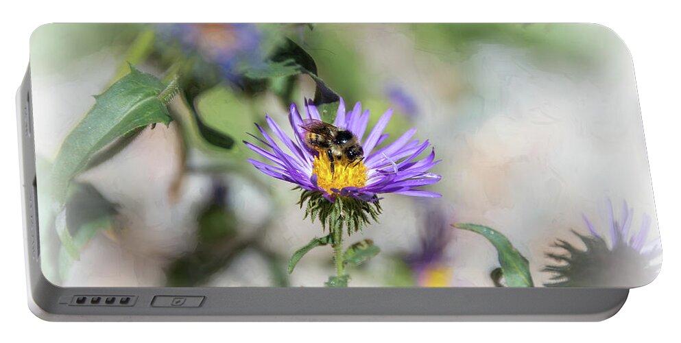 Asteraceae Portable Battery Charger featuring the photograph Honey Bee on Purple Aster by Debra Martz